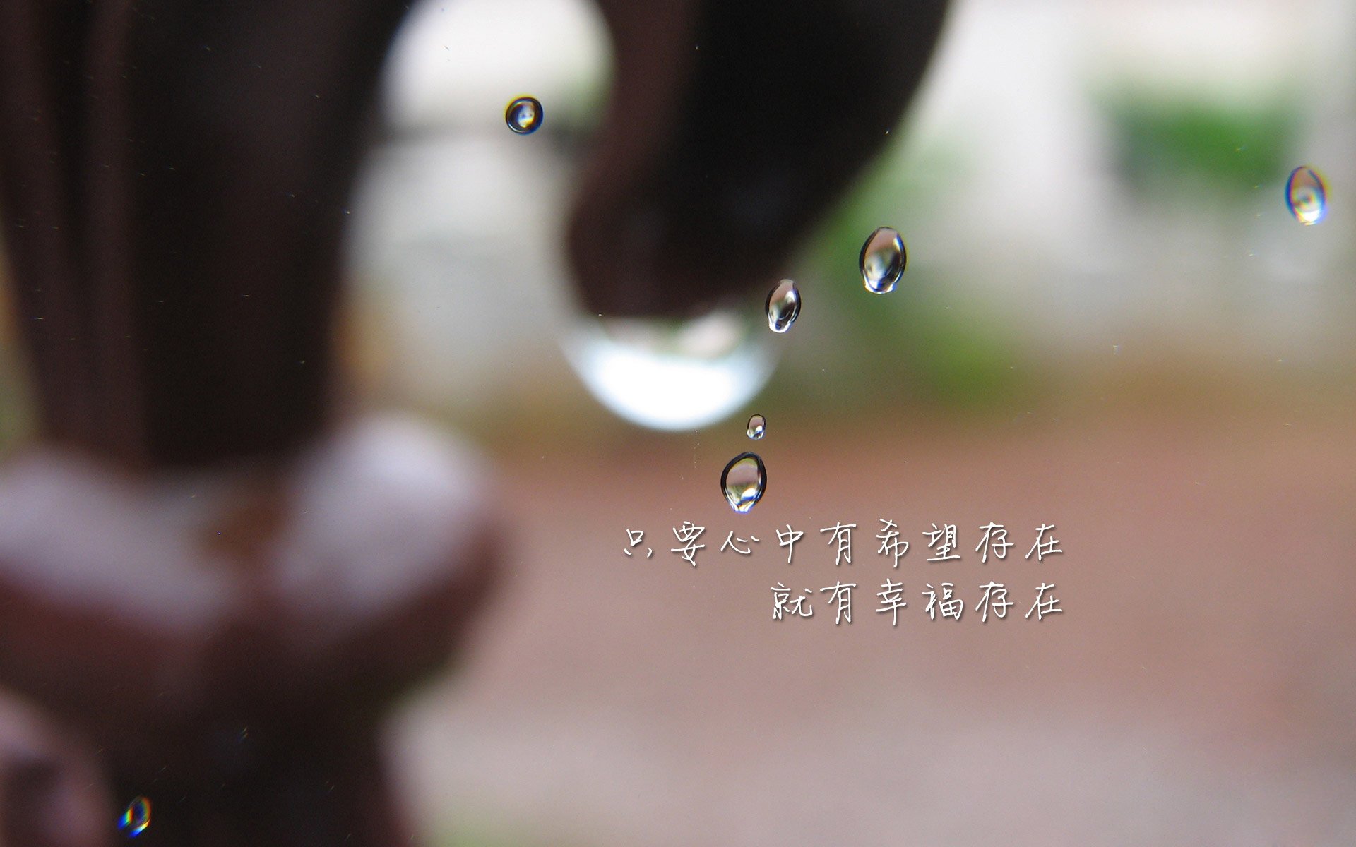 开云·体育官网APP下载-大型户外徒步节，跨越山川迎接新挑战，户外徒步主题