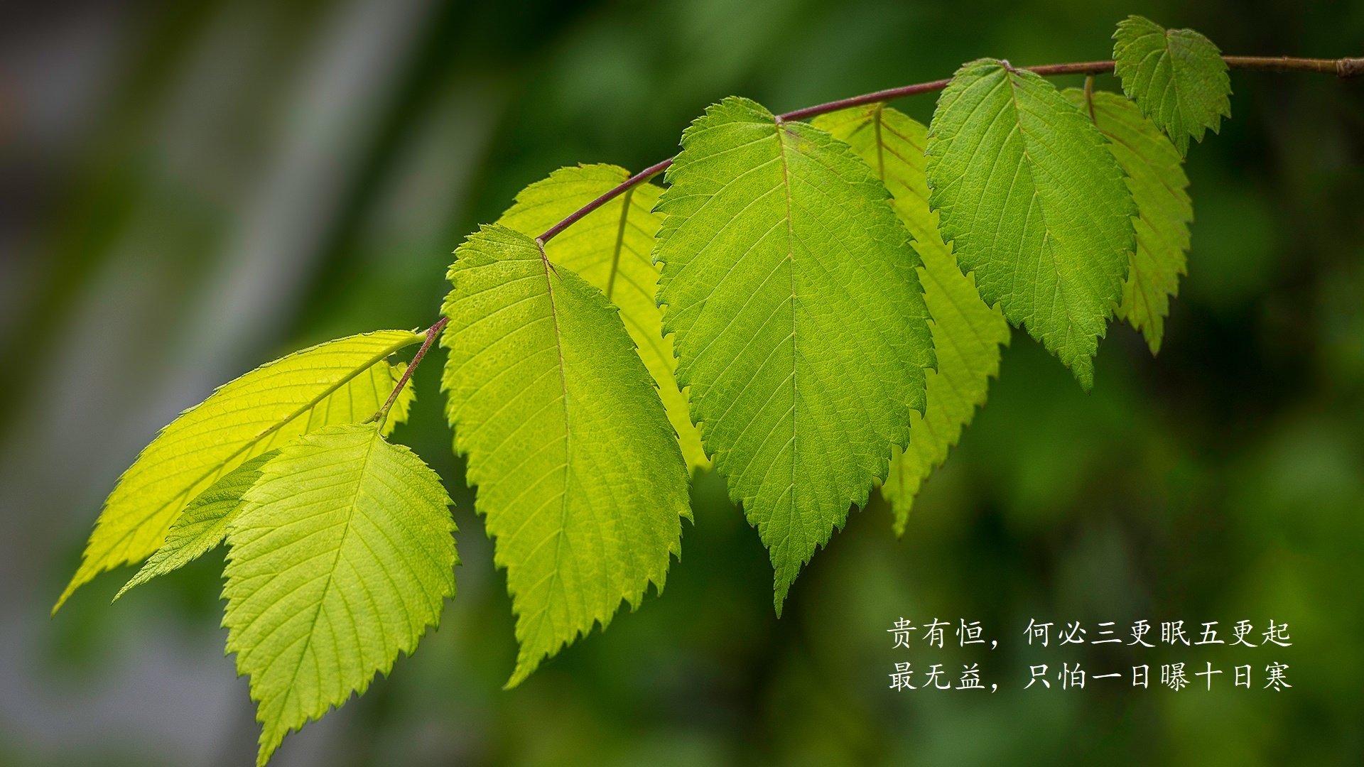 国家体育总局发布广场舞发展规划，国家体育总局规范广场舞的通知