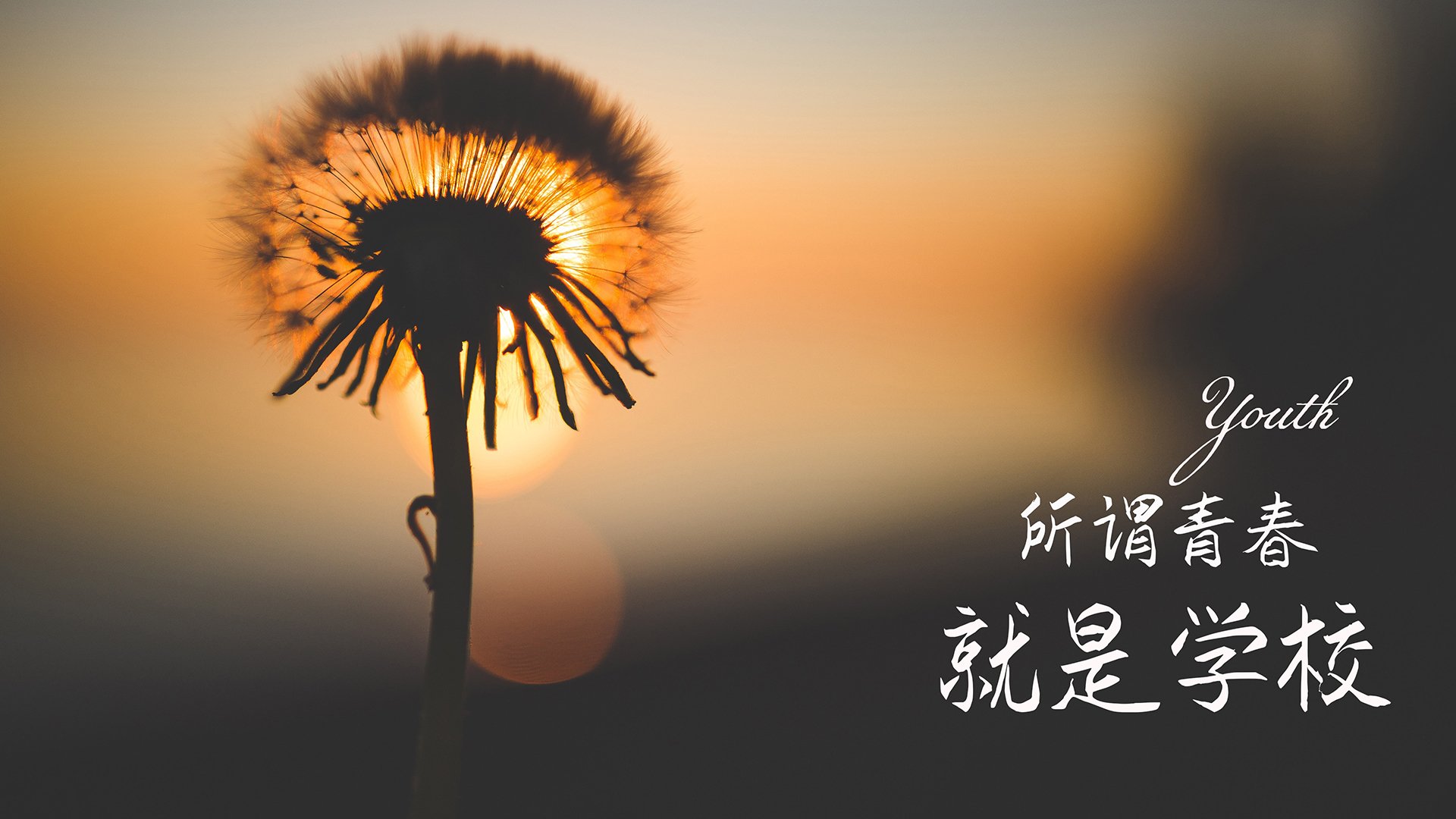 开云体育-普拉提课程在老年人群体中推广，改善身体功能，普拉提 老人