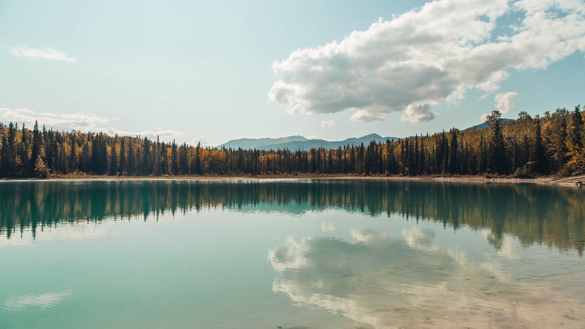 意甲球队通过心理测试提升球员临场决策能力