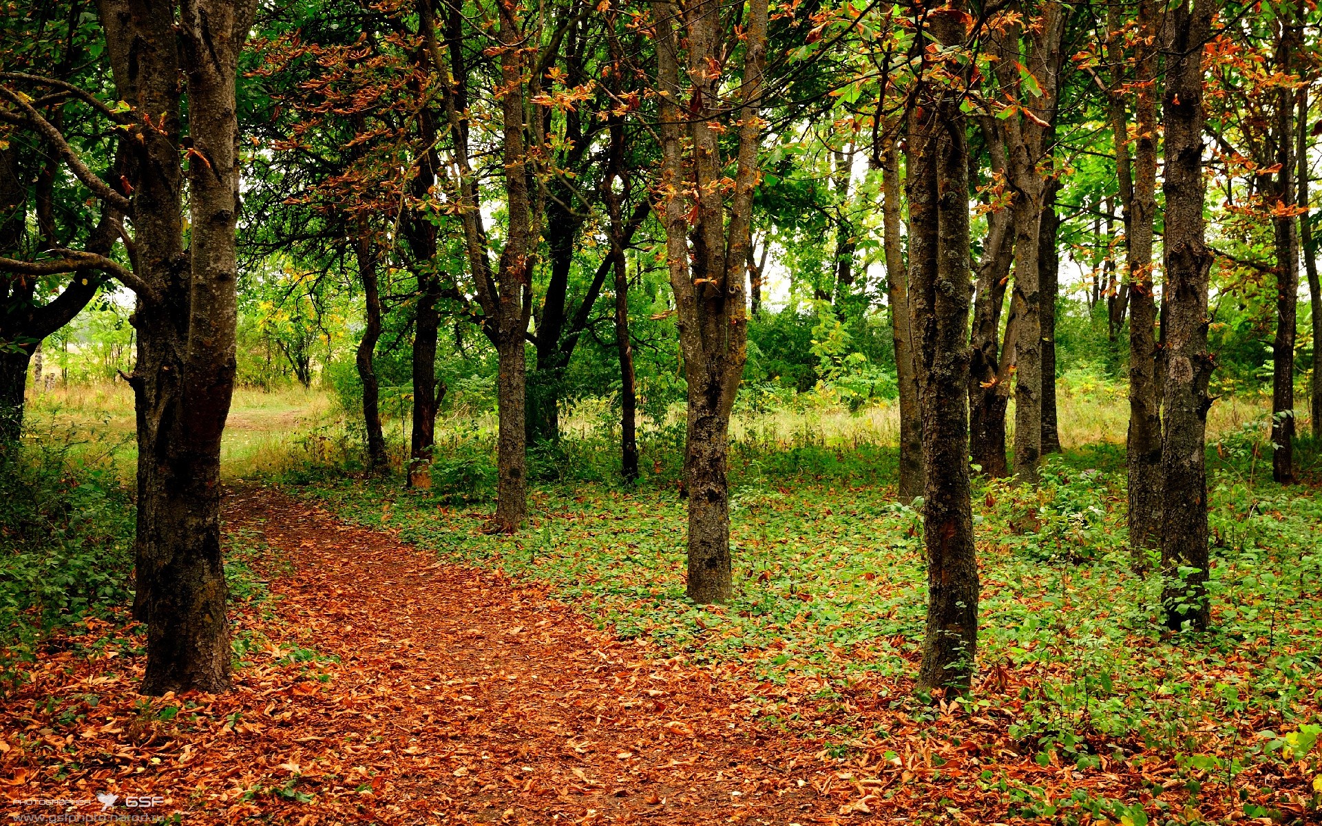 体育文化融入城市更新焕发活力,体育文化建设