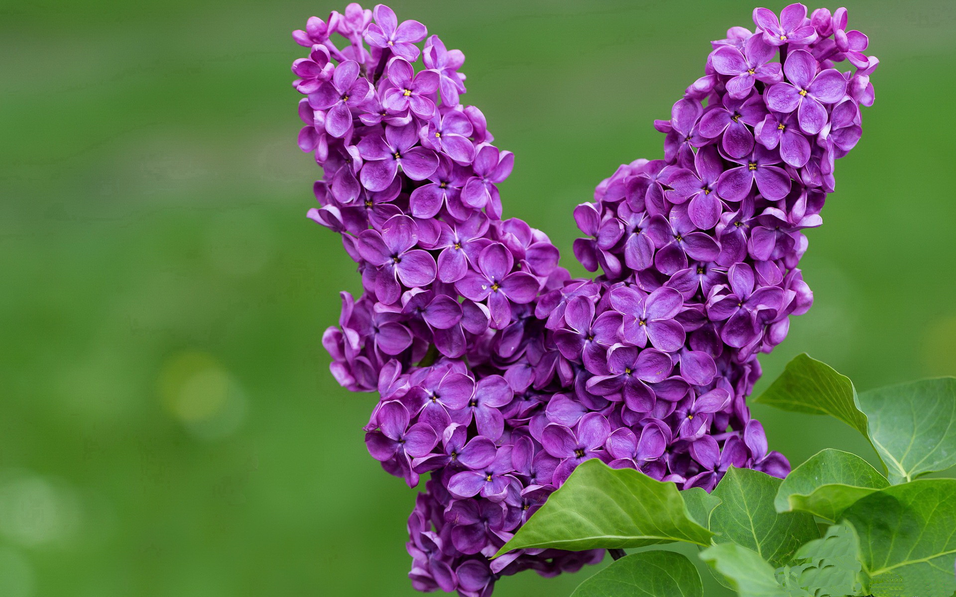 多项目均衡发展,实力逐步增强,多项目均衡发展,实力逐步增强什么能力