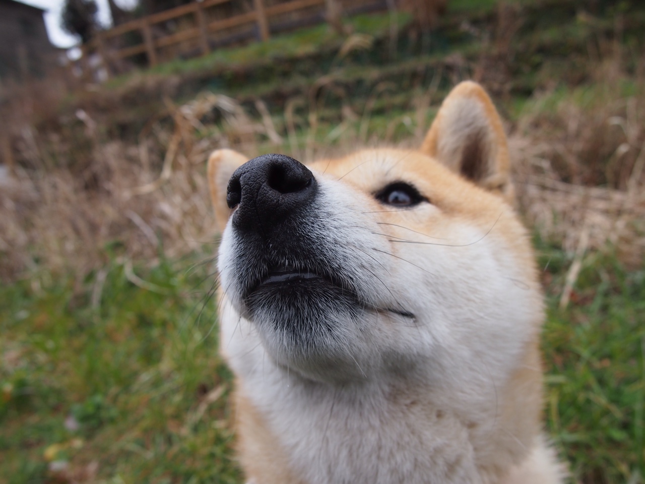 开云网页版-自由式滑雪技术难度不断提升，自由式滑雪基本技术