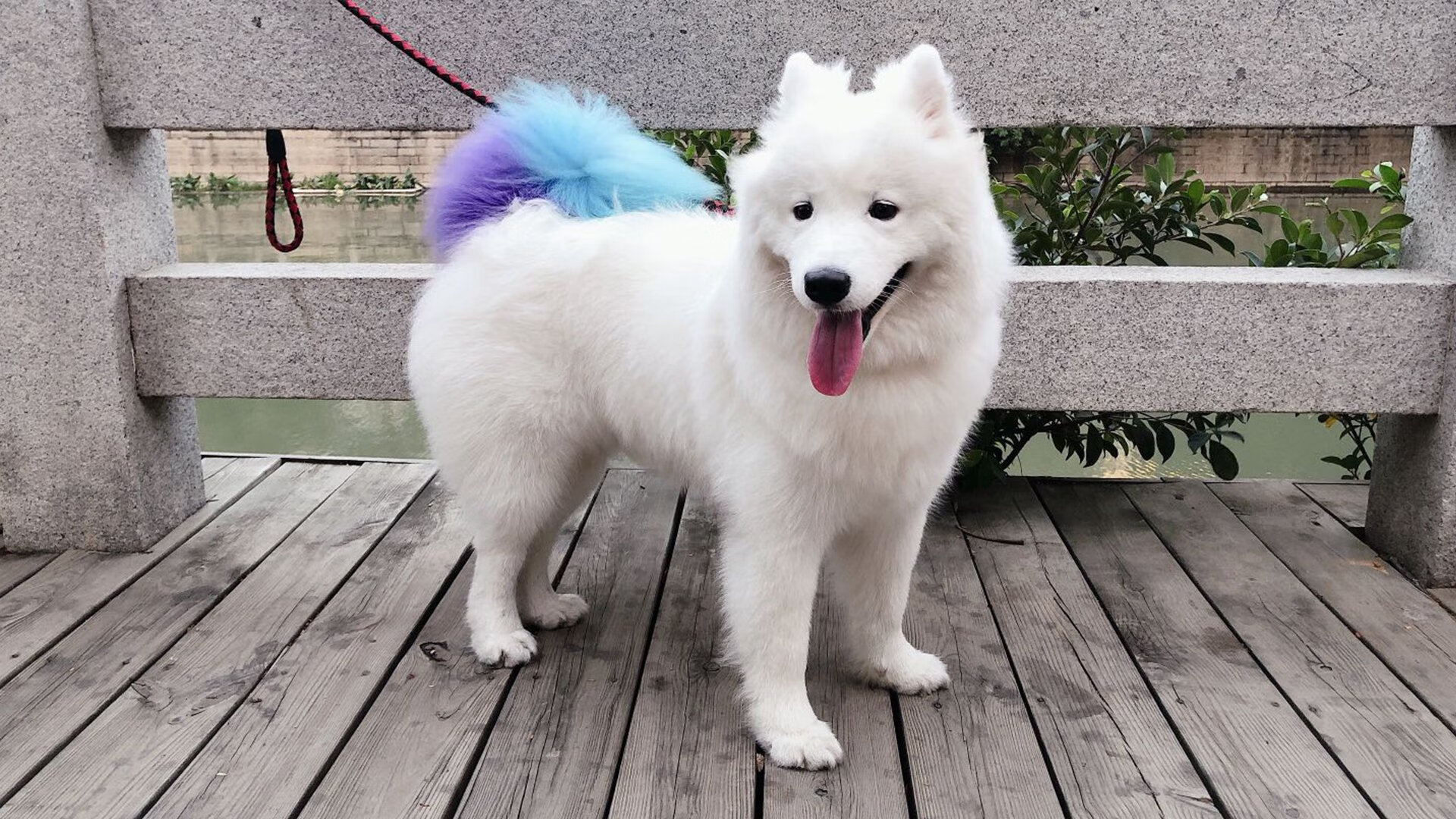 乔·波尔曼通过出色的传球视野，成为袋鼠队战术关键