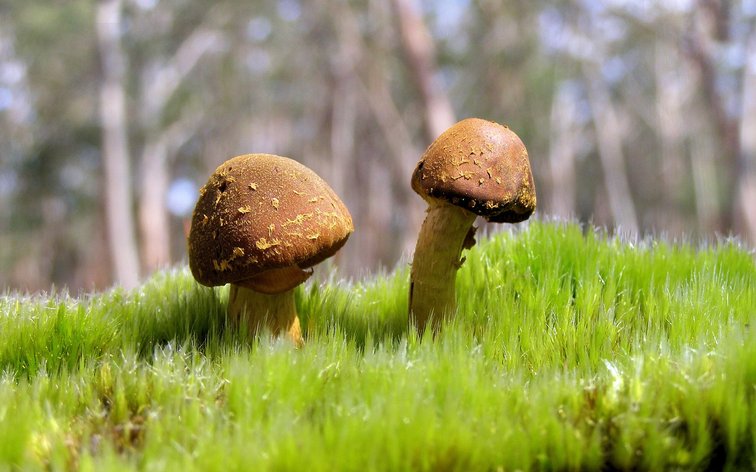 kaiyun体育app-奥尔韦拉展现强大心理素质与韧性，奥尔韦伯