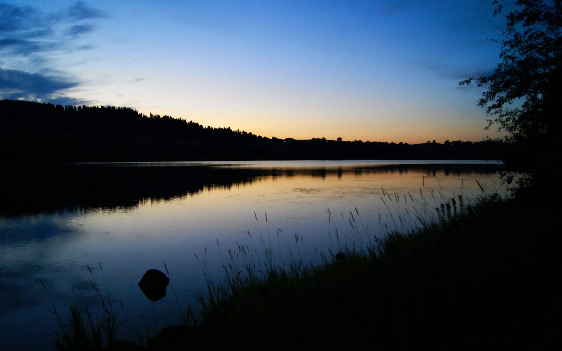 覃海洋挑战极限 短蛙展现爆发力,覃海洋200米蛙泳